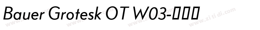 Bauer Grotesk OT W03字体转换